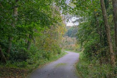 Walk photo