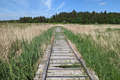 Walk photo