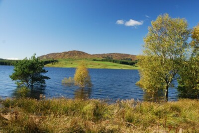 Walk photo