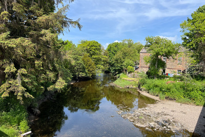 Walk photo