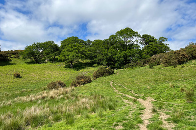 Walk photo