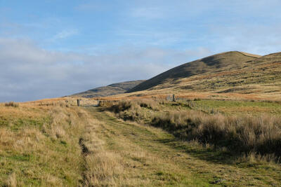 Walk photo