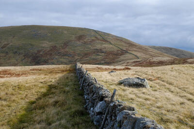 Walk photo
