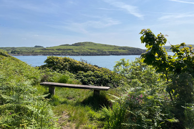 Walk photo