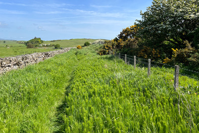 Walk photo