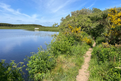 Walk photo