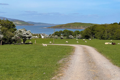 Walk photo