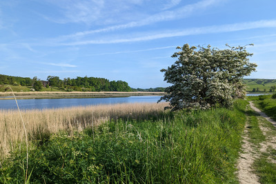 Walk photo