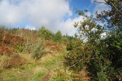 Walk photo