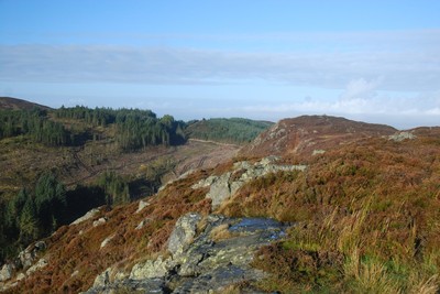 Walk photo