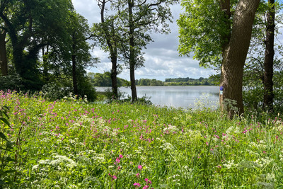 Walk photo