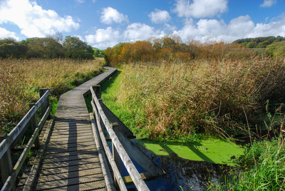 Walk photo