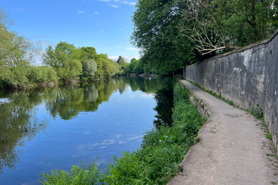 Walk photo