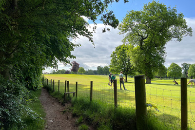 Walk photo