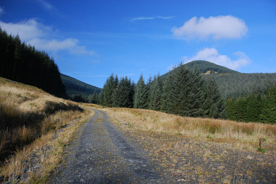 Walk photo