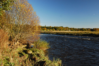 Walk photo