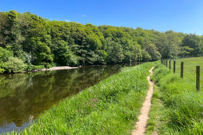 Walk photo