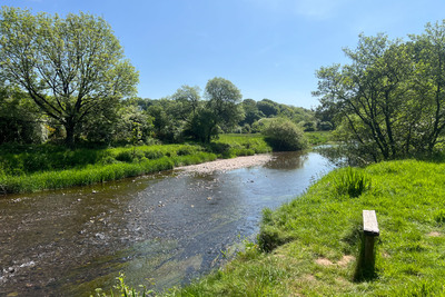 Walk photo