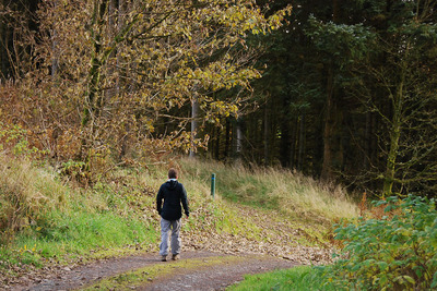 Walk photo