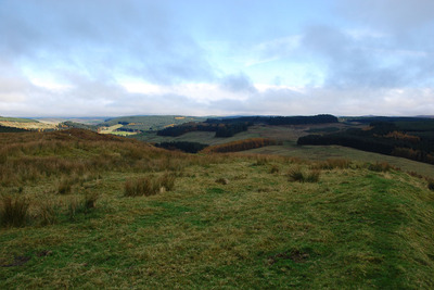 Walk photo