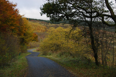Walk photo