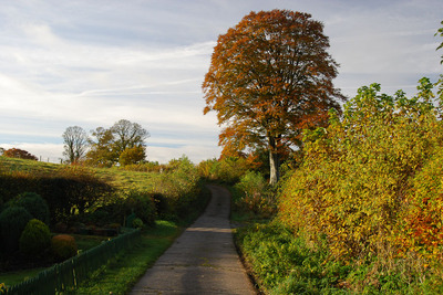 Walk photo