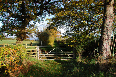 Walk photo