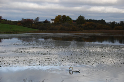 Walk photo