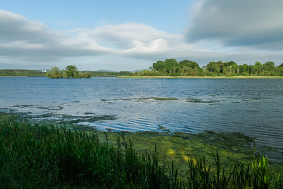 Walk photo