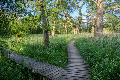 Walk photo