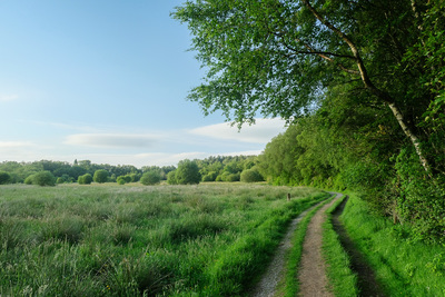Walk photo