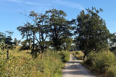 Walk photo