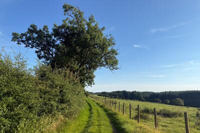 Walk photo