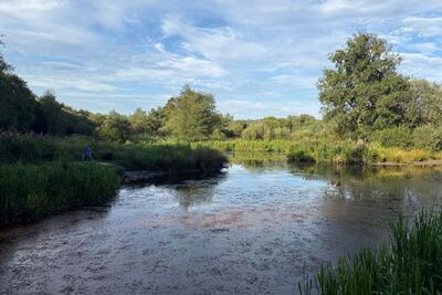 Eskrigg Nature Reserve circuit from Lockerbie