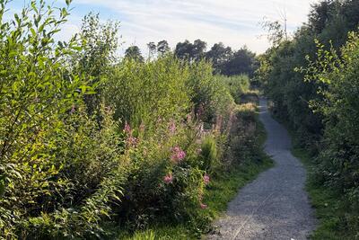 Walk photo
