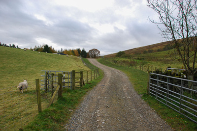 Walk photo