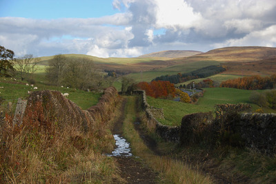 Walk photo
