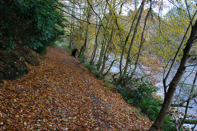 Walk photo
