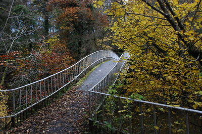 Walk photo