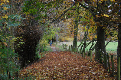 Walk photo