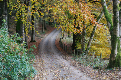 Walk photo