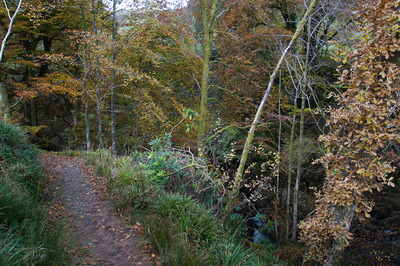 Walk photo