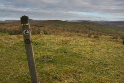 Walk photo
