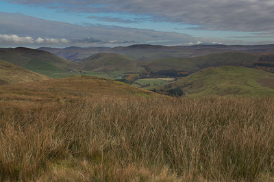 Walk photo