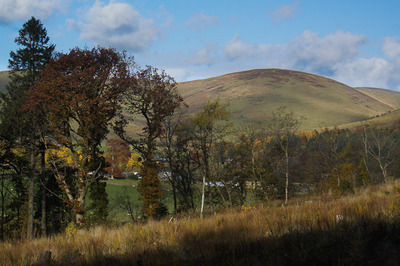 Walk photo