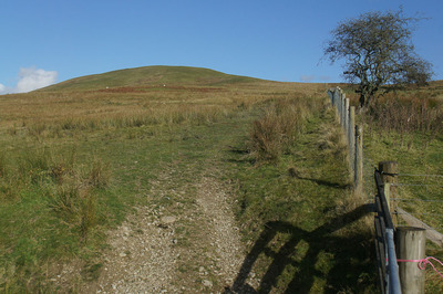 Walk photo