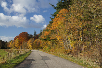 Walk photo
