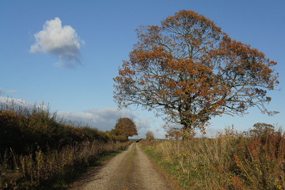 Walk photo