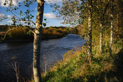 Walk photo