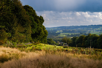 Walk photo
